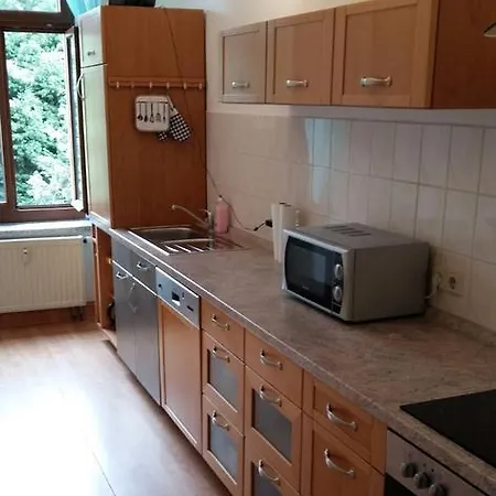 Ferienwohnung An Den Elbwiesen 3 * 德累斯顿